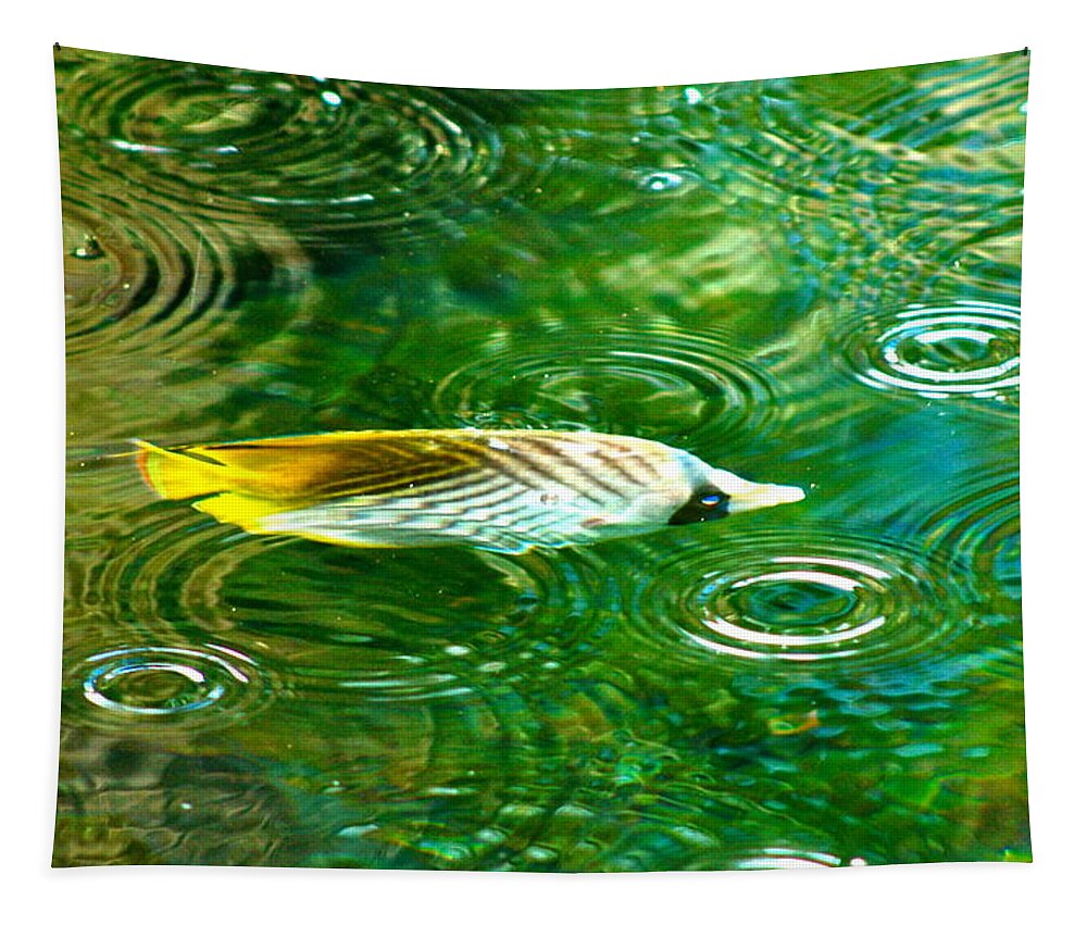 Fish Tapestry featuring the photograph Fish in the rain by Lehua Pekelo-Stearns