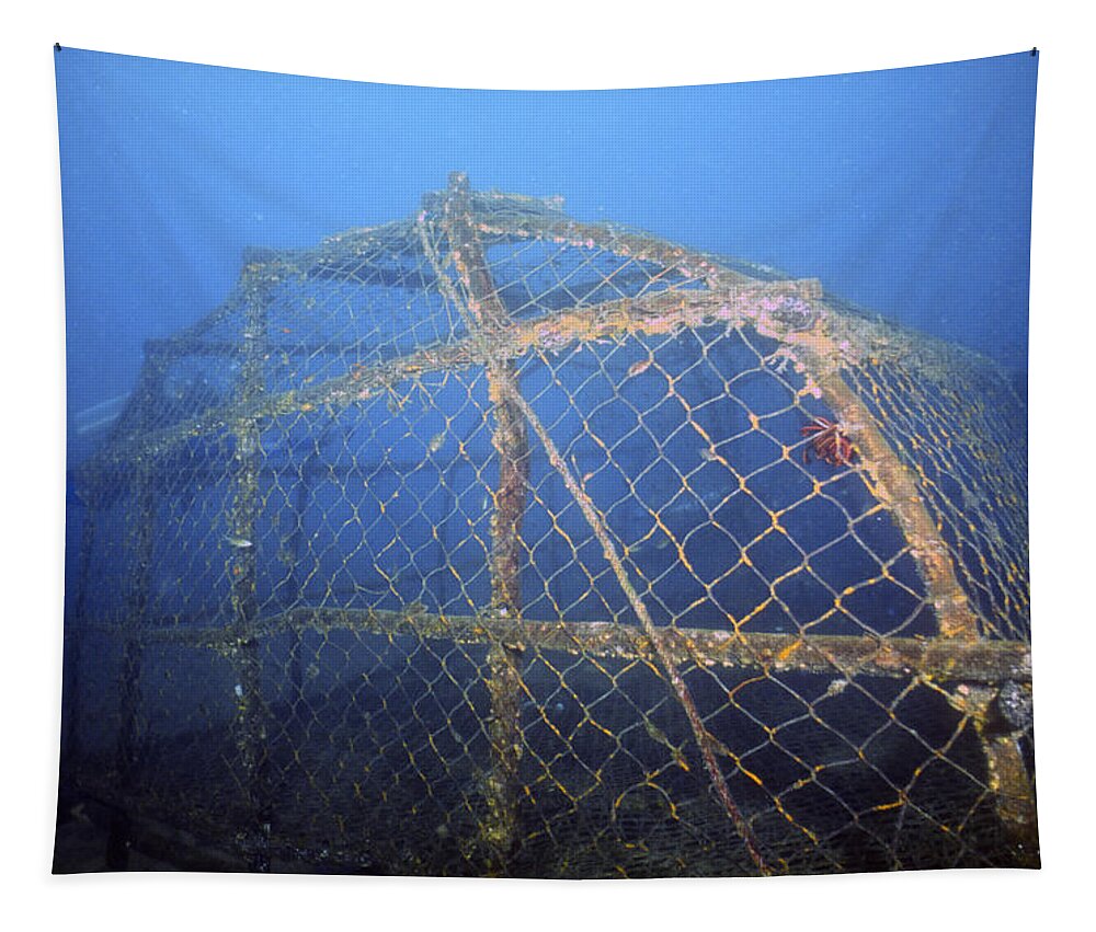 Cage Tapestry featuring the photograph Fish Trap On Sea Floor by Greg Ochocki