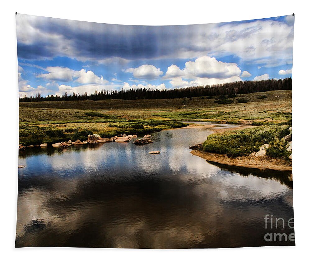 Water Tapestry featuring the photograph Fishermans Creek by Edward R Wisell