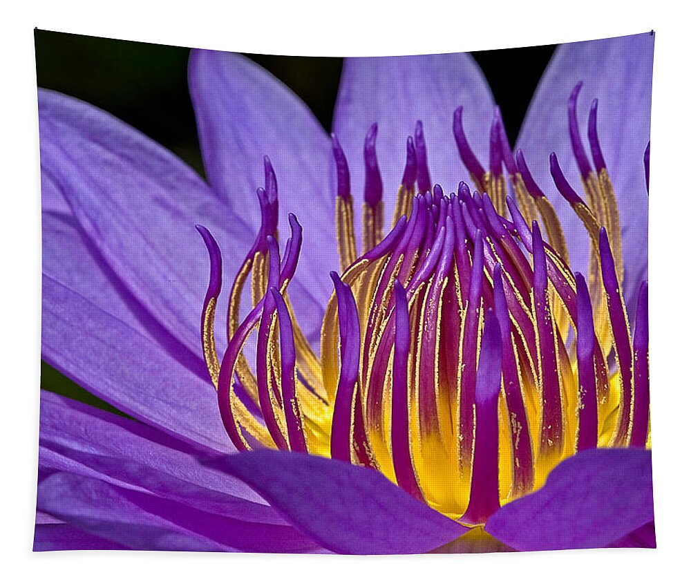 Waterlily Tapestry featuring the photograph Flaming Heart by Susan Candelario