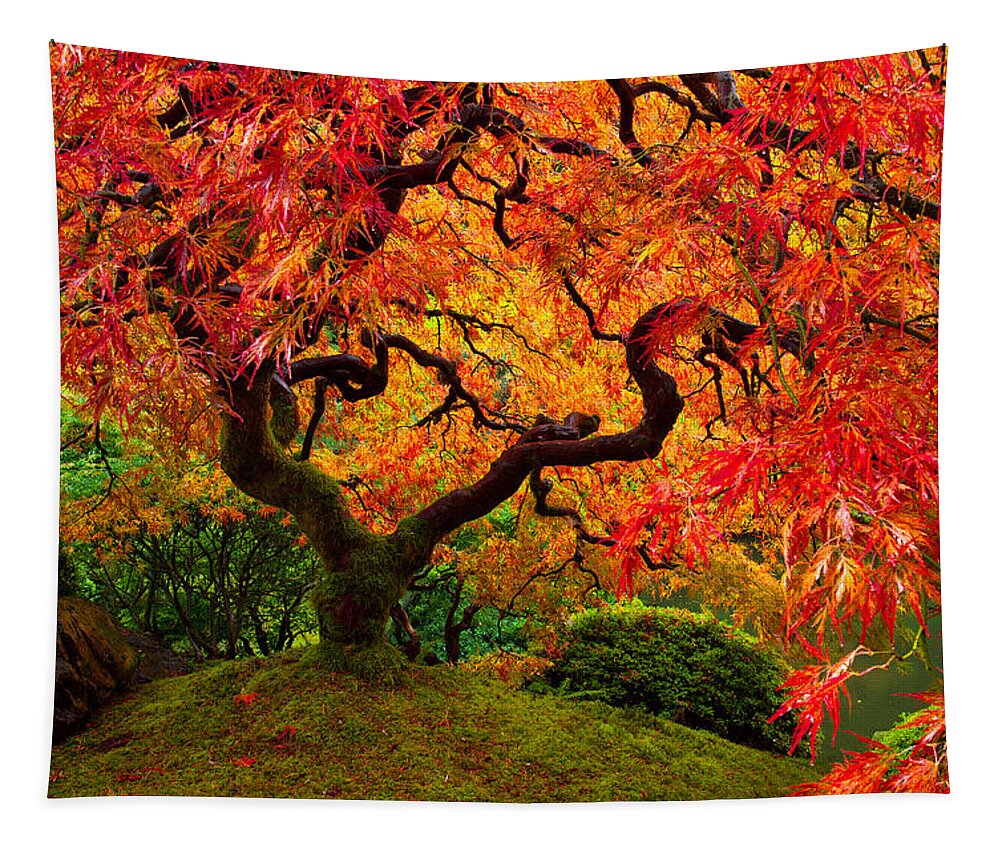 Portland Tapestry featuring the photograph Flaming Maple by Darren White