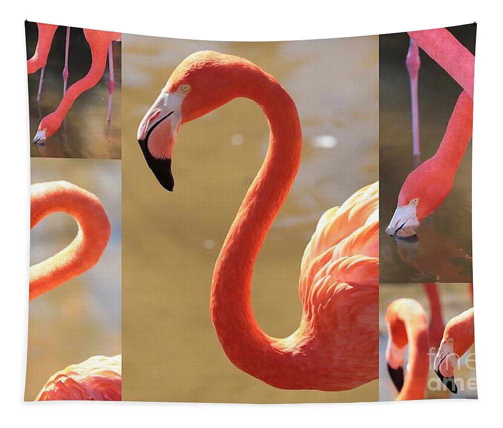 Flamingo Tapestry featuring the photograph Flamingo Collage by Carol Groenen