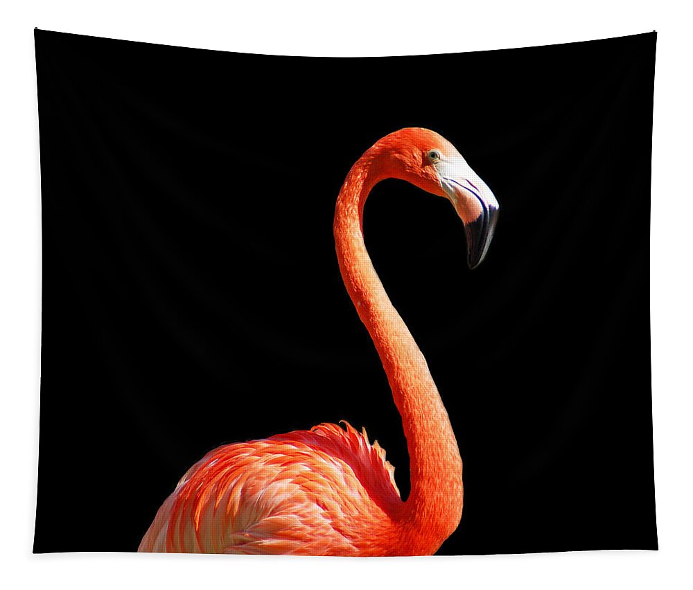 Flamingo Tapestry featuring the photograph Flamingo Portrait by Aimee L Maher ALM GALLERY