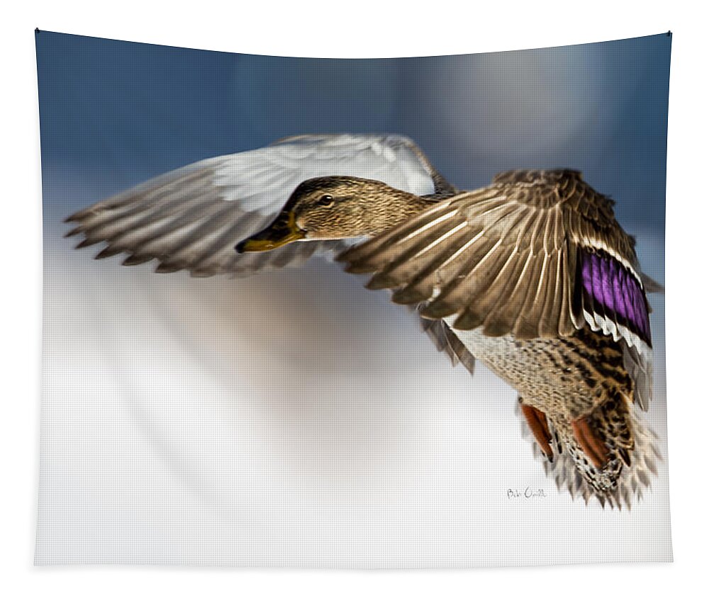Duck Tapestry featuring the photograph Flight of the Mallard by Bob Orsillo