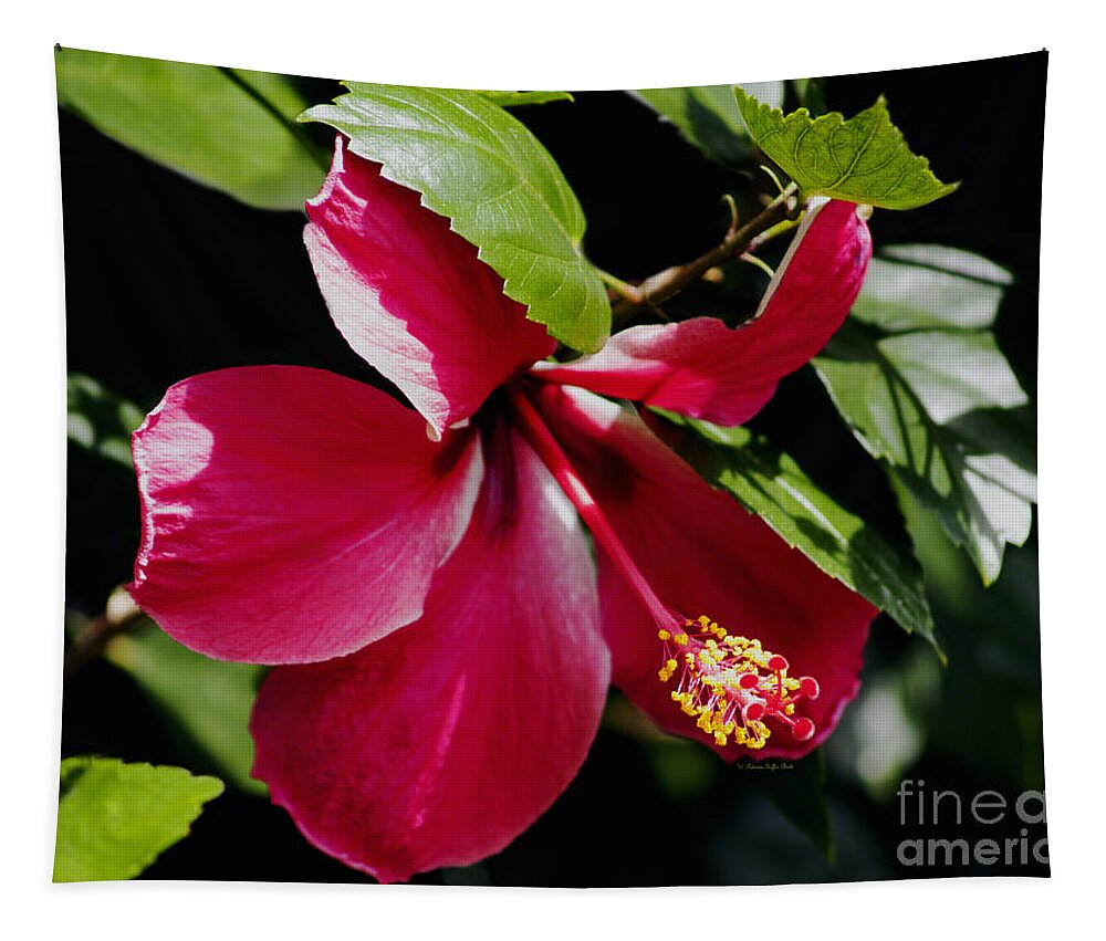 Flower Photography Tapestry featuring the photograph Flirting by Patricia Griffin Brett