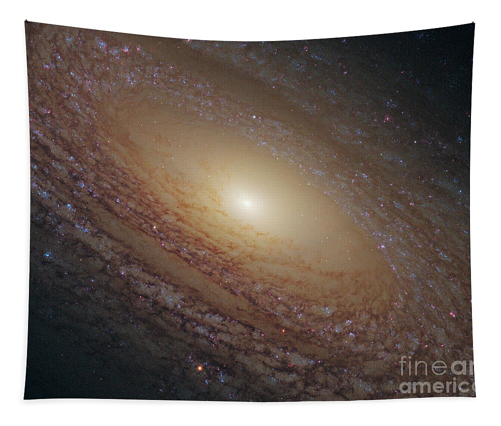 Ngc 2841 Tapestry featuring the photograph Flocculent Spiral Galaxy Ngc 2841 by Science Source