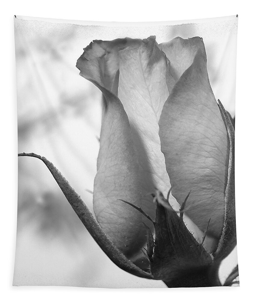 Blooming Rose Tapestry featuring the photograph Blooming Rose by Mike McGlothlen