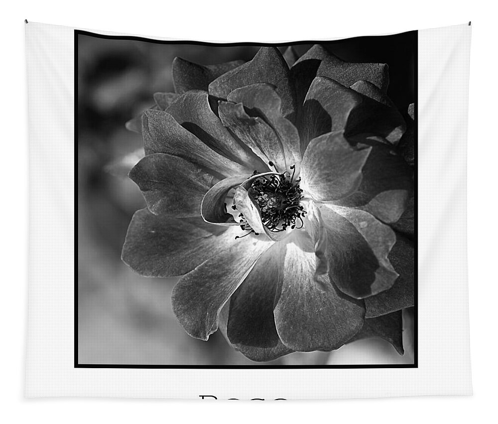 Flower Tapestry featuring the photograph Flower-black And White Rose by Joy Watson