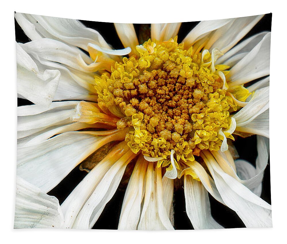 Flower Tapestry featuring the photograph Flower - Daisy - Drunken sun by Mike Savad