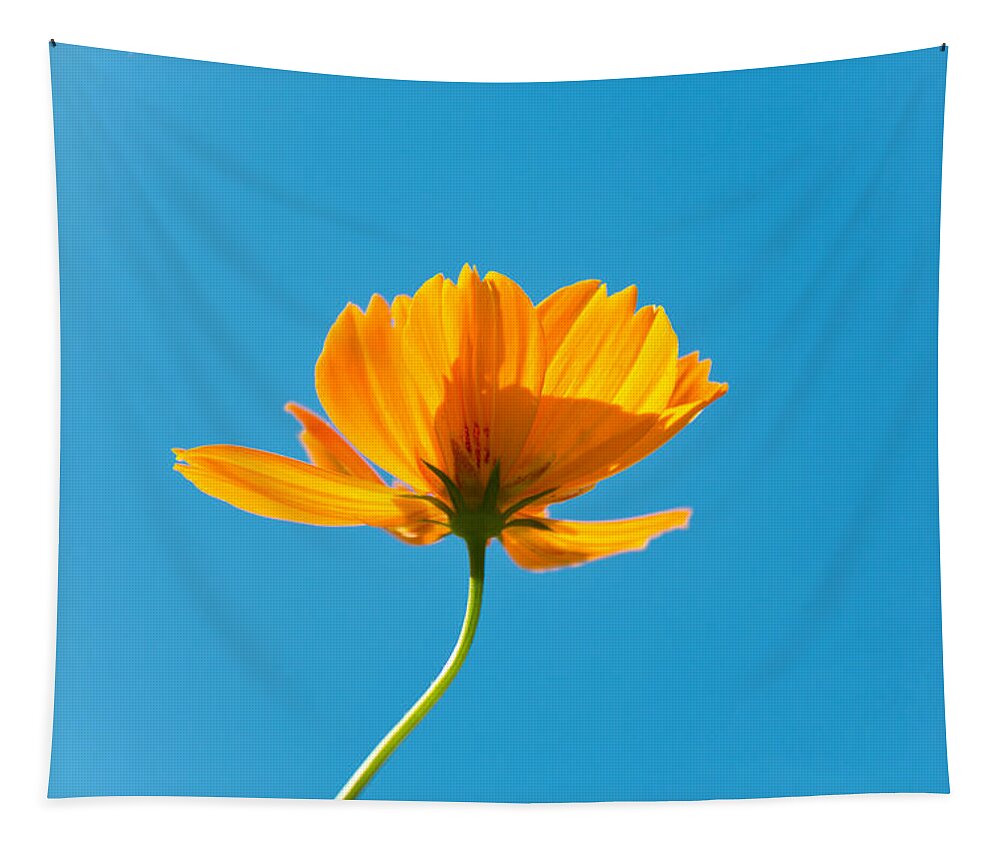 Orange Tapestry featuring the photograph Flower - Growing up in Brooklyn by Mike Savad