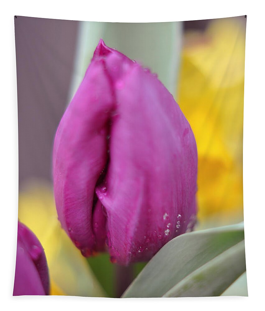 Tulips Tapestry featuring the photograph Flower in the Spring by Miguel Winterpacht