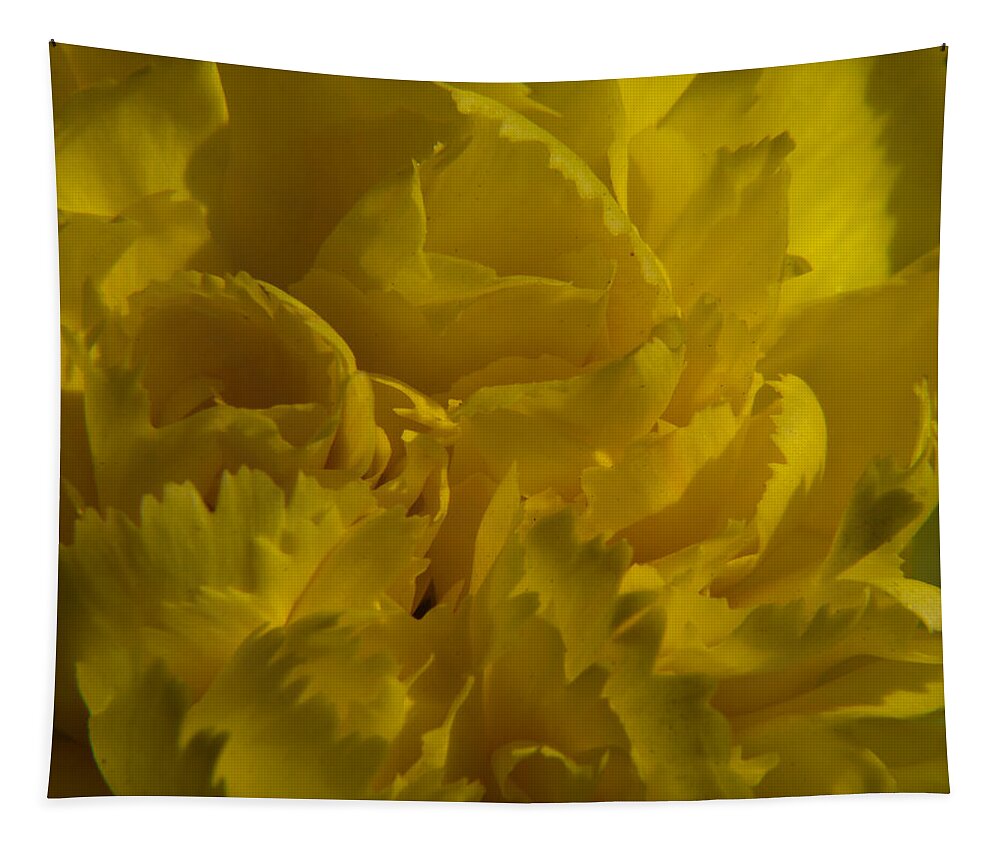 Swirls Tapestry featuring the photograph Flower swirls by SAURAVphoto Online Store