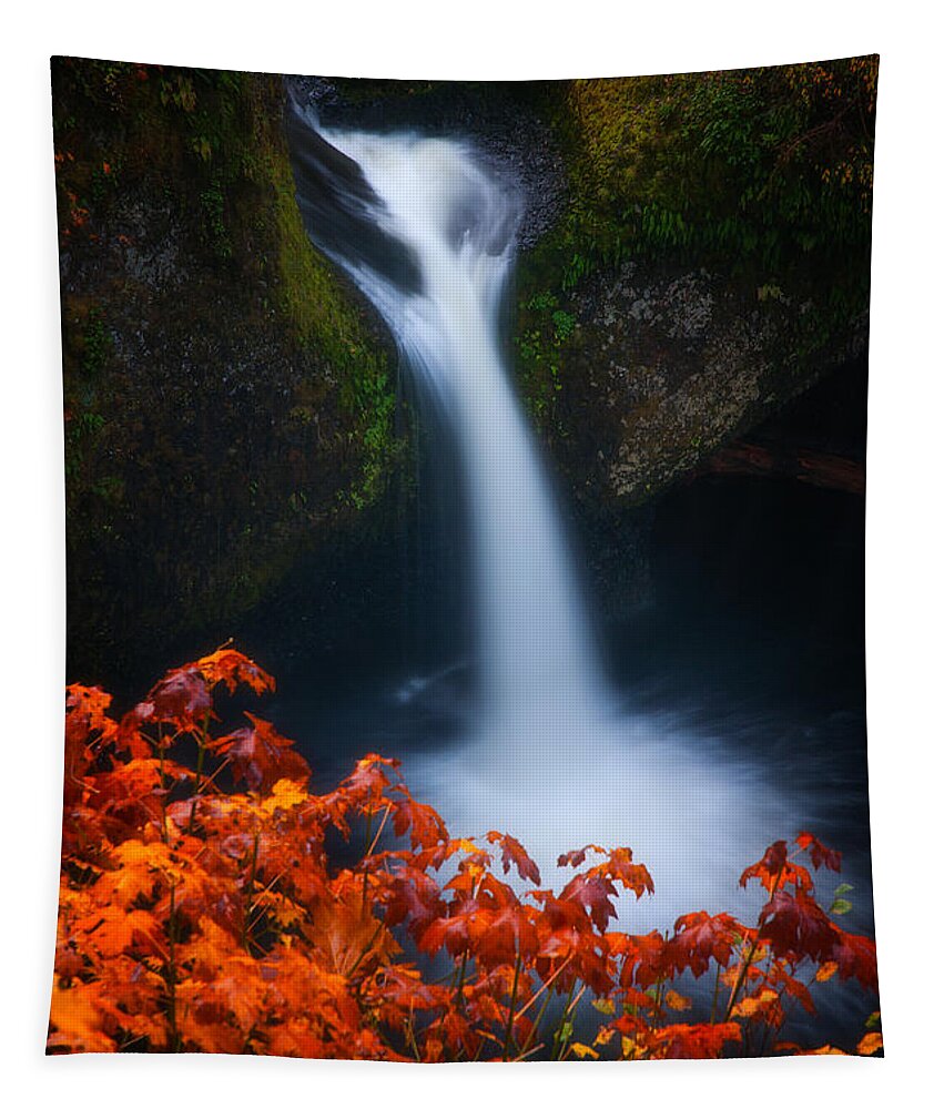 Waterfall Tapestry featuring the photograph Flowing into Fall by Darren White