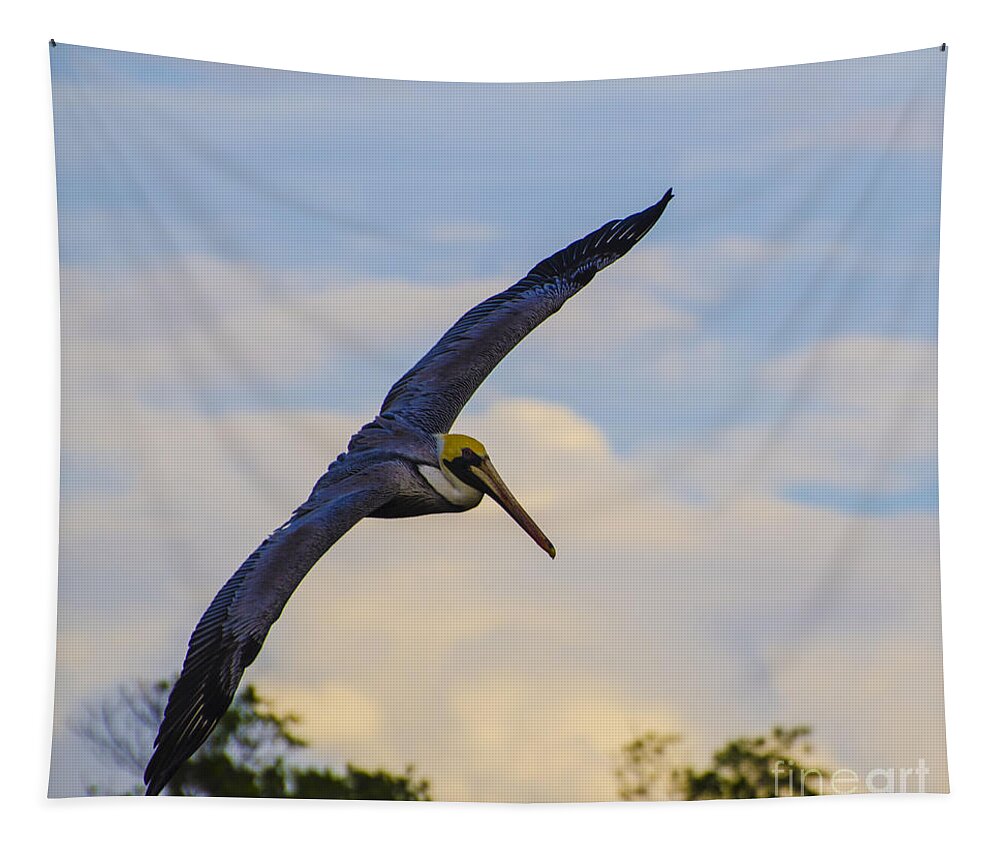 Pelican Tapestry featuring the photograph Fly Away by Judy Wolinsky