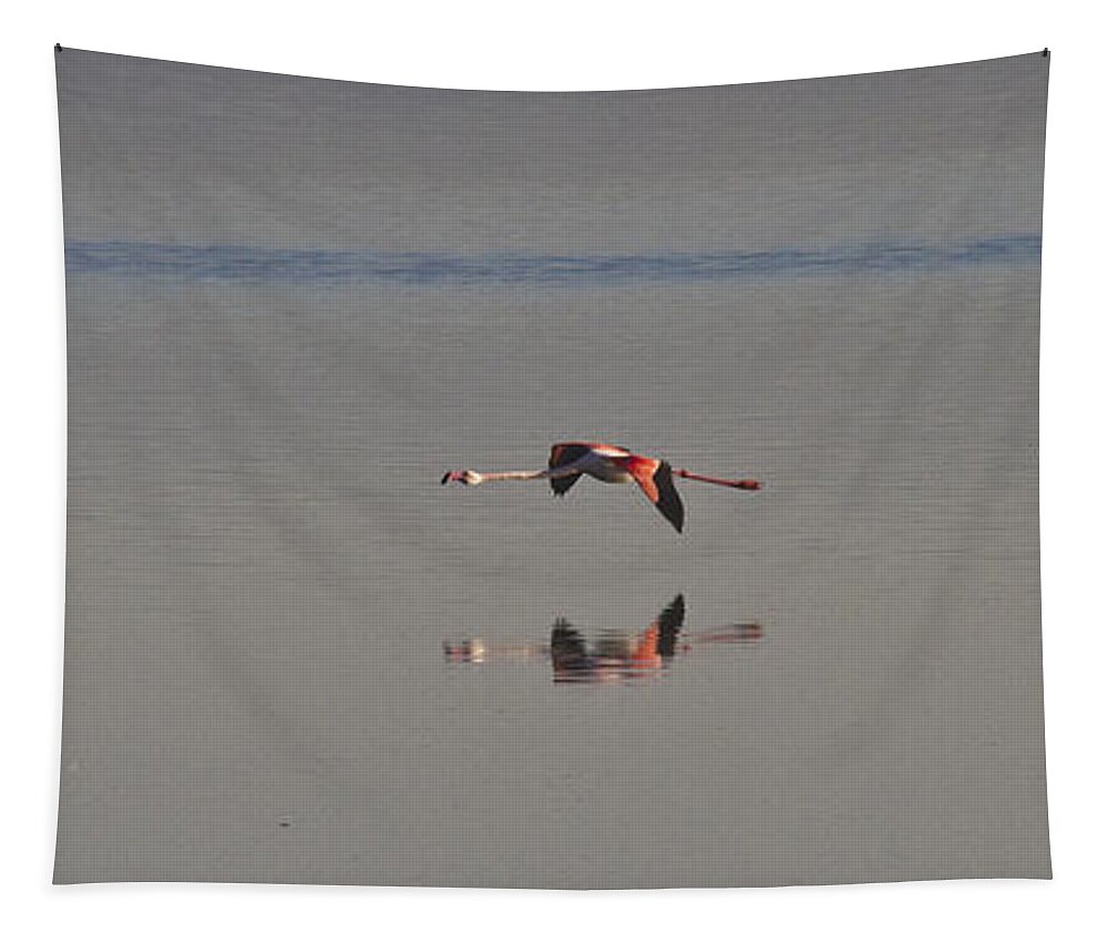 Heiko Tapestry featuring the photograph Fly Fly Away My Pretty Flamingo by Heiko Koehrer-Wagner