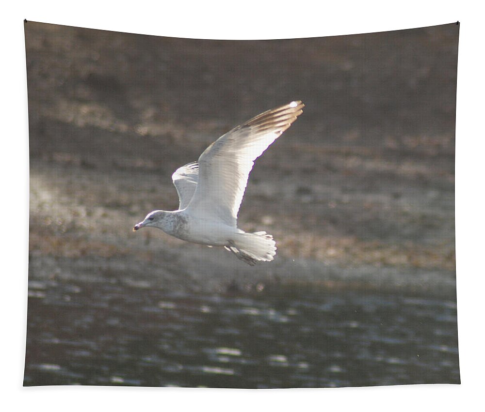 Seagull Tapestry featuring the photograph Flying Free by Richard Bryce and Family