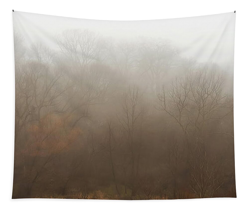 Fog Tapestry featuring the photograph Fog Riverside Park by Scott Norris