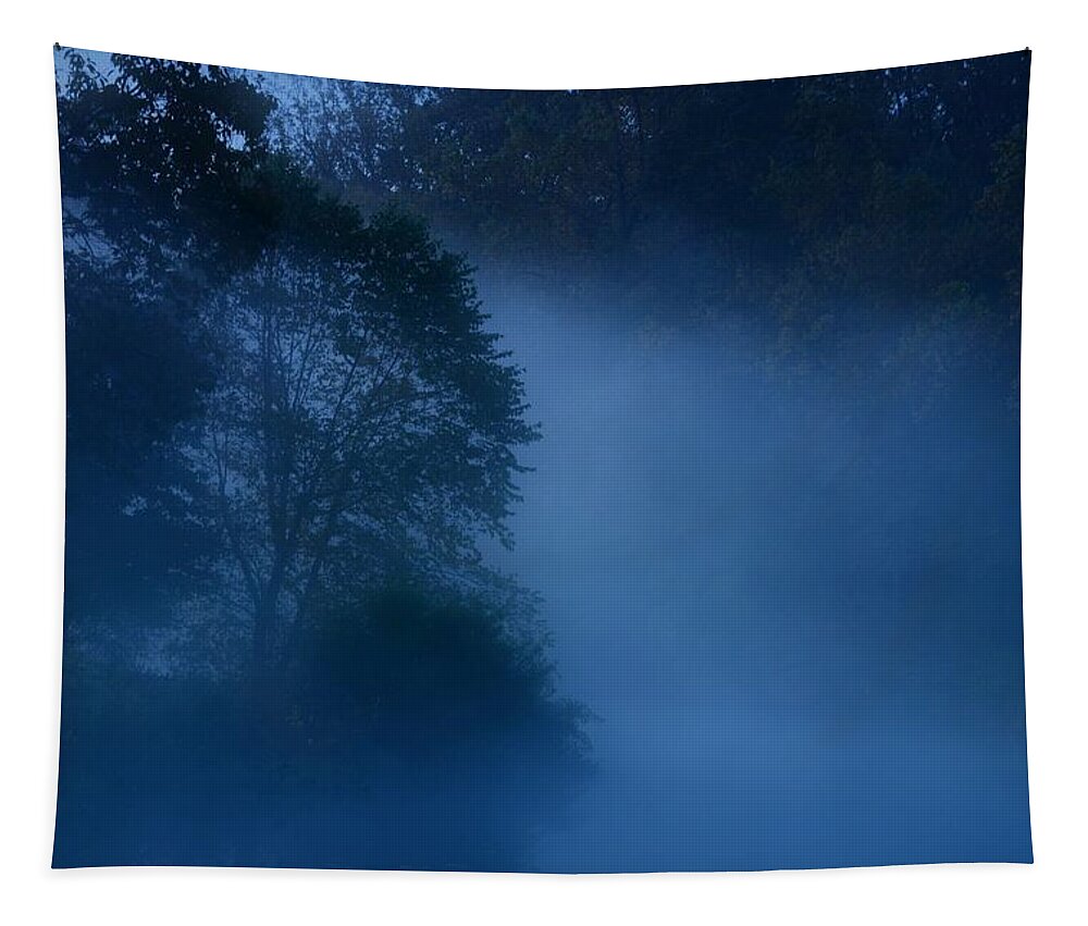 Nature Landscapes Tapestry featuring the photograph Foggy Dawn III- Holmdel Park by Angie Tirado