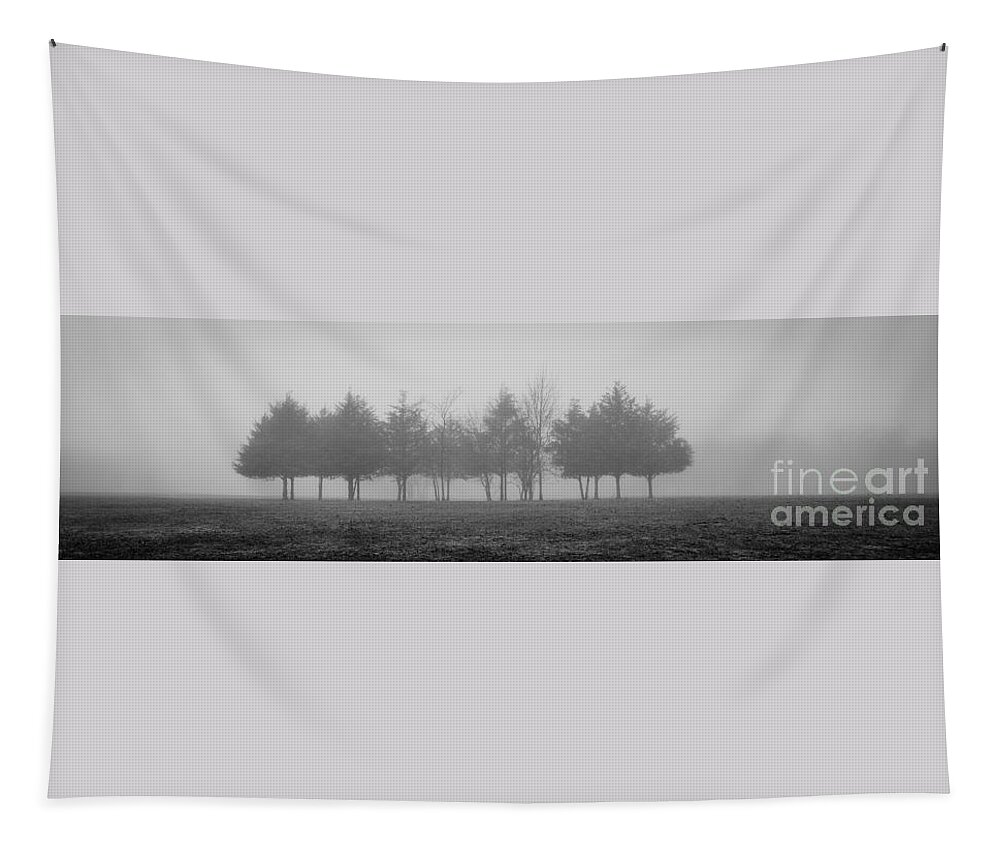 Fog Tapestry featuring the photograph Foggy Day by Cheryl McClure