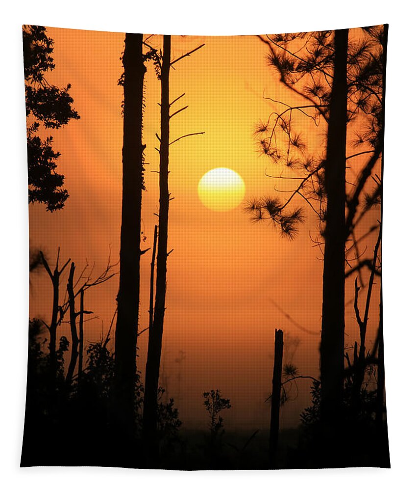 Sunrise Tapestry featuring the photograph Foggy Day Sunrise by Deborah Benoit