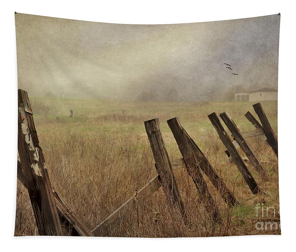 Maine Tapestry featuring the photograph Foggy Dream by Karin Pinkham