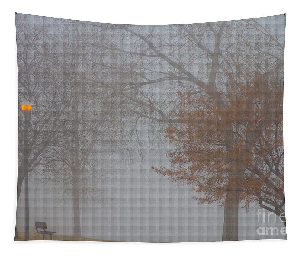 Fog Tapestry featuring the photograph Foggy Lake View by James BO Insogna