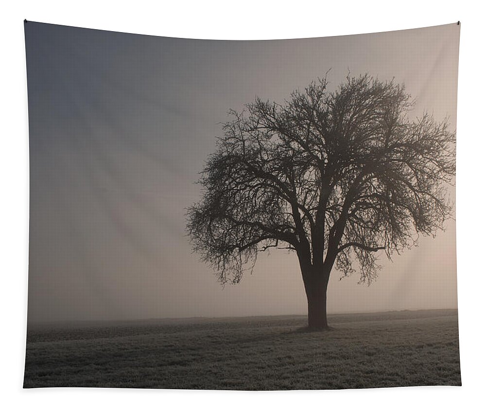 Sale Tapestry featuring the photograph Foggy Morning Sunshine by Miguel Winterpacht