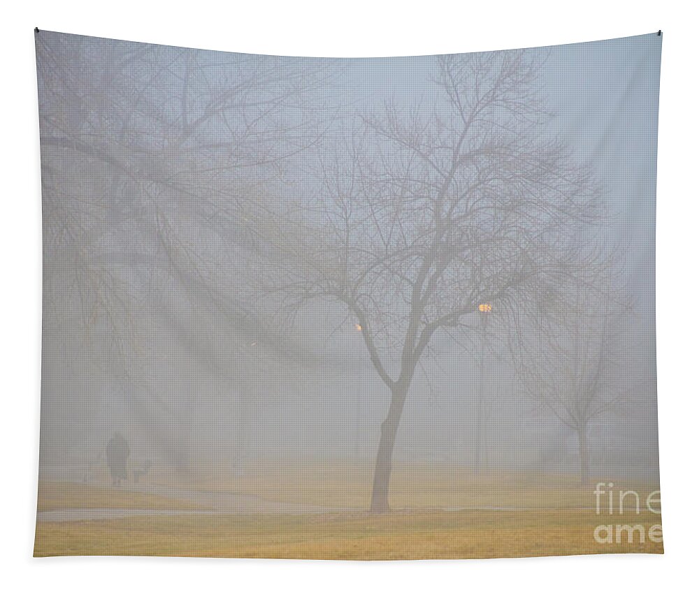 Fog Tapestry featuring the photograph Foggy Park Morning by James BO Insogna