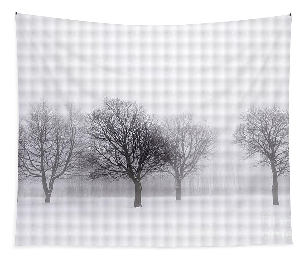 Trees Tapestry featuring the photograph Foggy park with winter trees by Elena Elisseeva