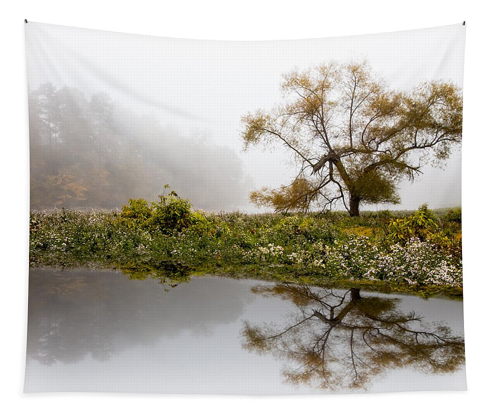 Appalachia Tapestry featuring the photograph Foggy Reflections Landscape by Debra and Dave Vanderlaan