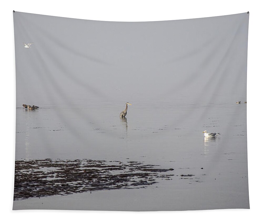 Fog Tapestry featuring the photograph Foggy Seabird Gathering by Roxy Hurtubise