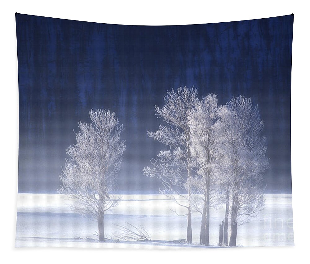 North America Tapestry featuring the photograph Foggy Sunrise in Yellowstone National Park by Dave Welling