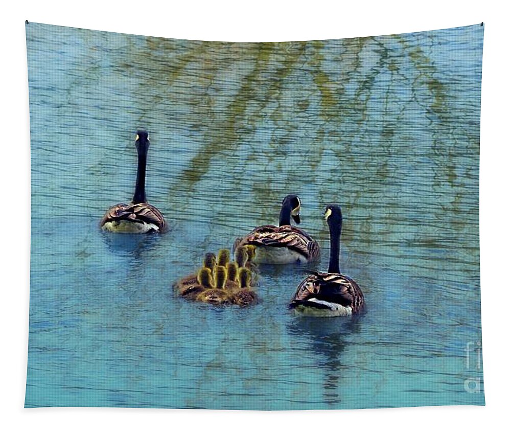 Baby Geese Tapestry featuring the photograph Follow the Leader Baby by Peggy Franz