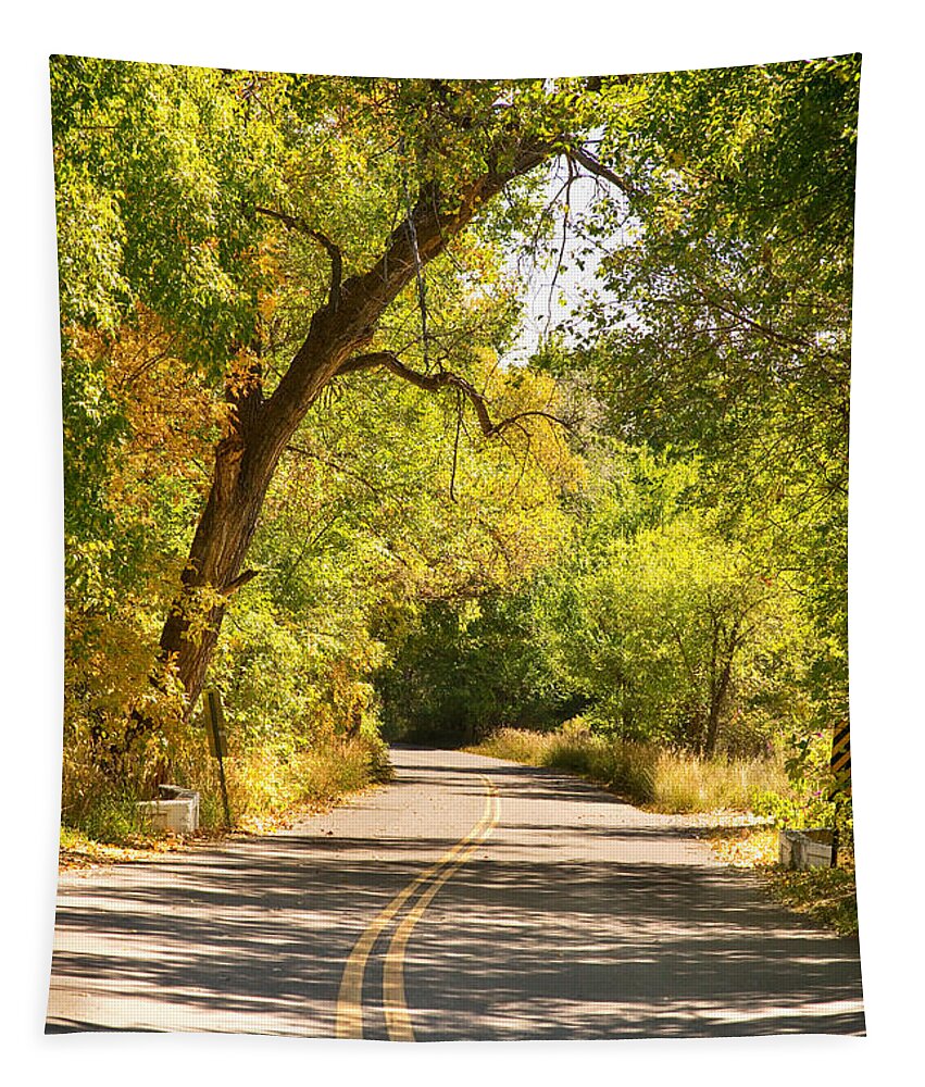 Colorado Tapestry featuring the photograph Follow the Yellow Lines by James BO Insogna