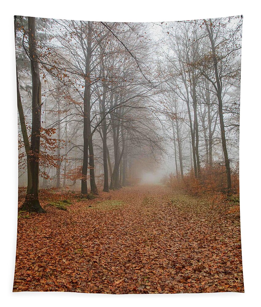 Autumn Tapestry featuring the photograph Footpath in foggy fall forest by Patricia Hofmeester