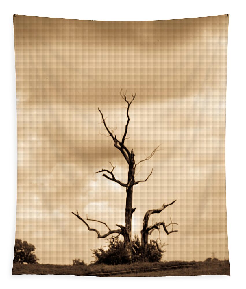 Foreboding Tapestry featuring the photograph Foreboding Clouds Over Ghost Tree 1 by Douglas Barnett