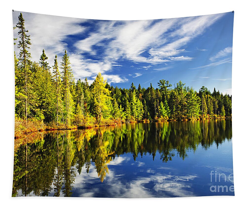 Lake Tapestry featuring the photograph Forest reflecting in lake by Elena Elisseeva
