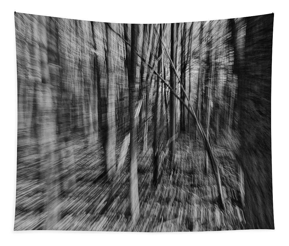  Tapestry featuring the photograph Forest Time B.W by Daniel Thompson