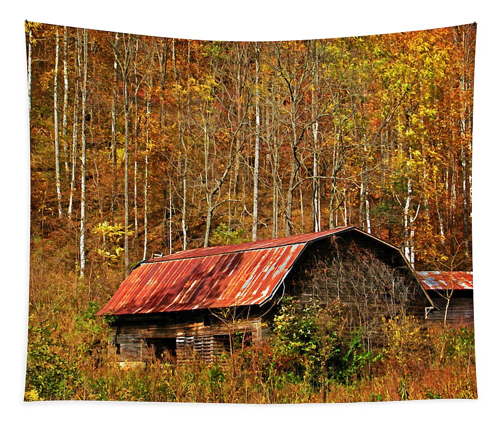 Barn Tapestry featuring the photograph Forgotten In Time by HH Photography of Florida