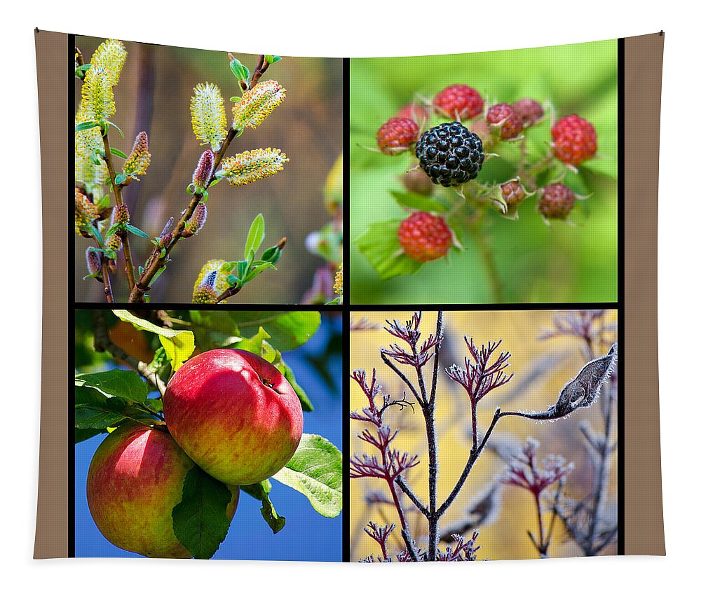 Plants Tapestry featuring the photograph Seasonal Plants Square by Christina Rollo