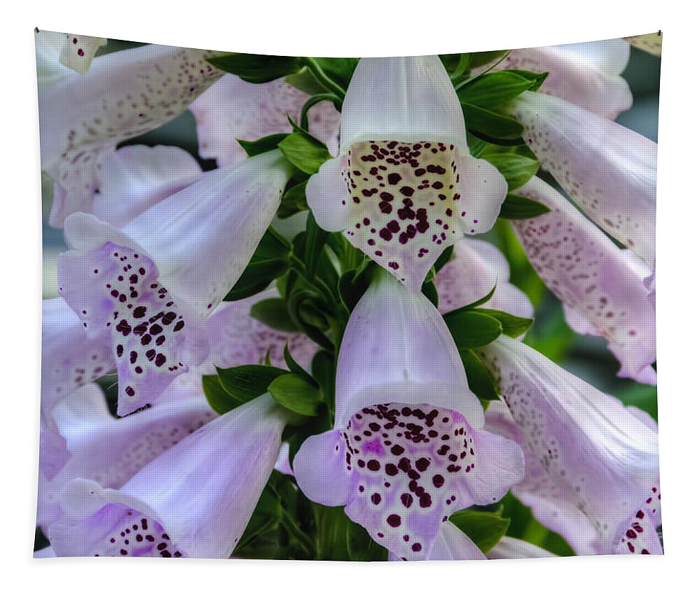 Beautiful Tapestry featuring the photograph Foxglove at Waters Edge by Penny Lisowski