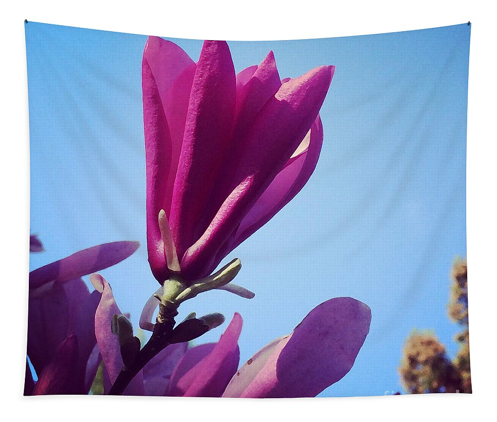 Magnolia Blossom Tapestry featuring the photograph Fragrant Silence by Kerri Farley