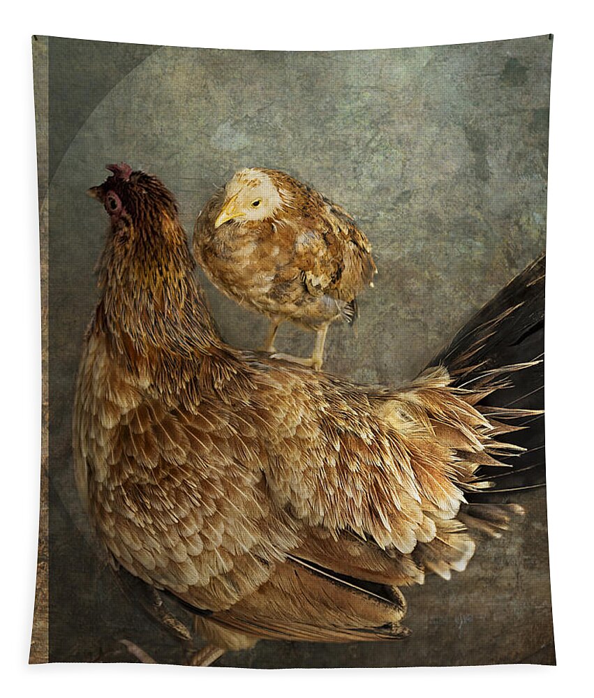 Hen Tapestry featuring the photograph Free Ride by Belinda Greb