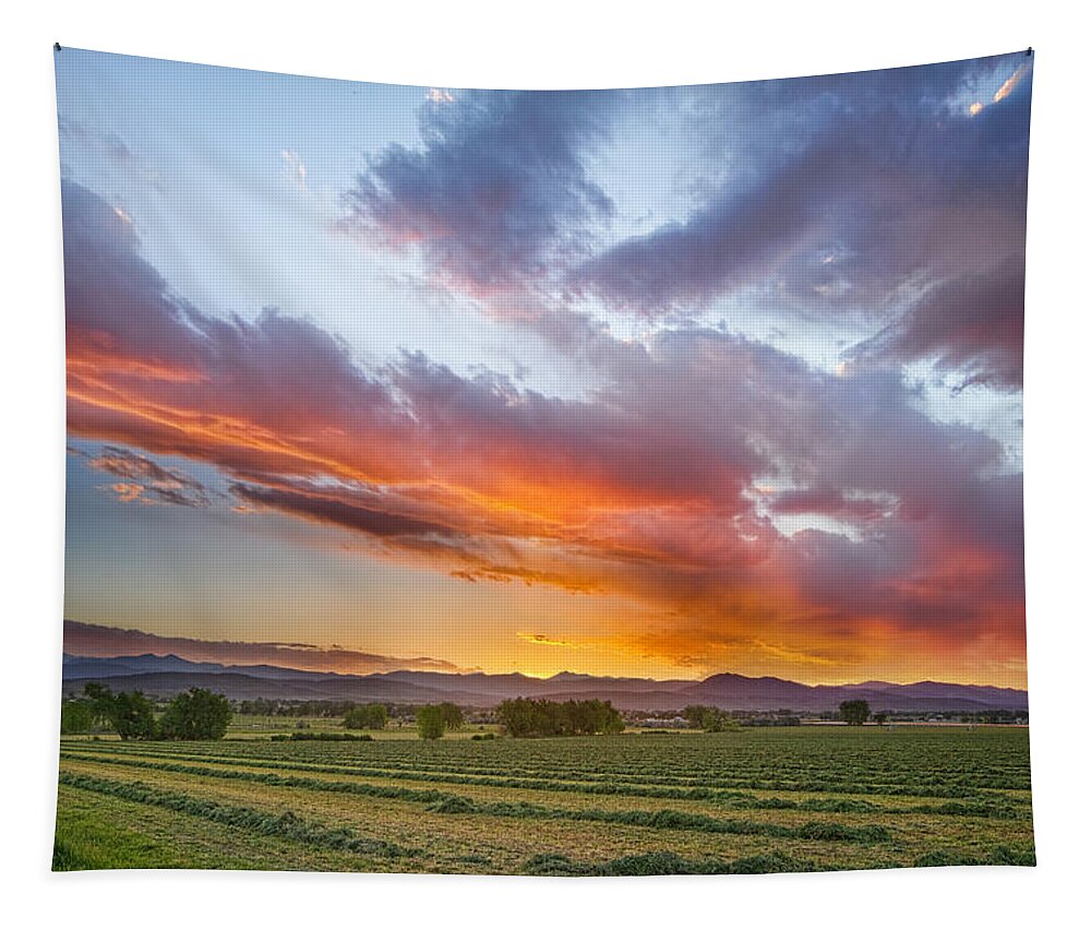 Farm Tapestry featuring the photograph Fresh Cut Hay and Colorful Sky by James BO Insogna