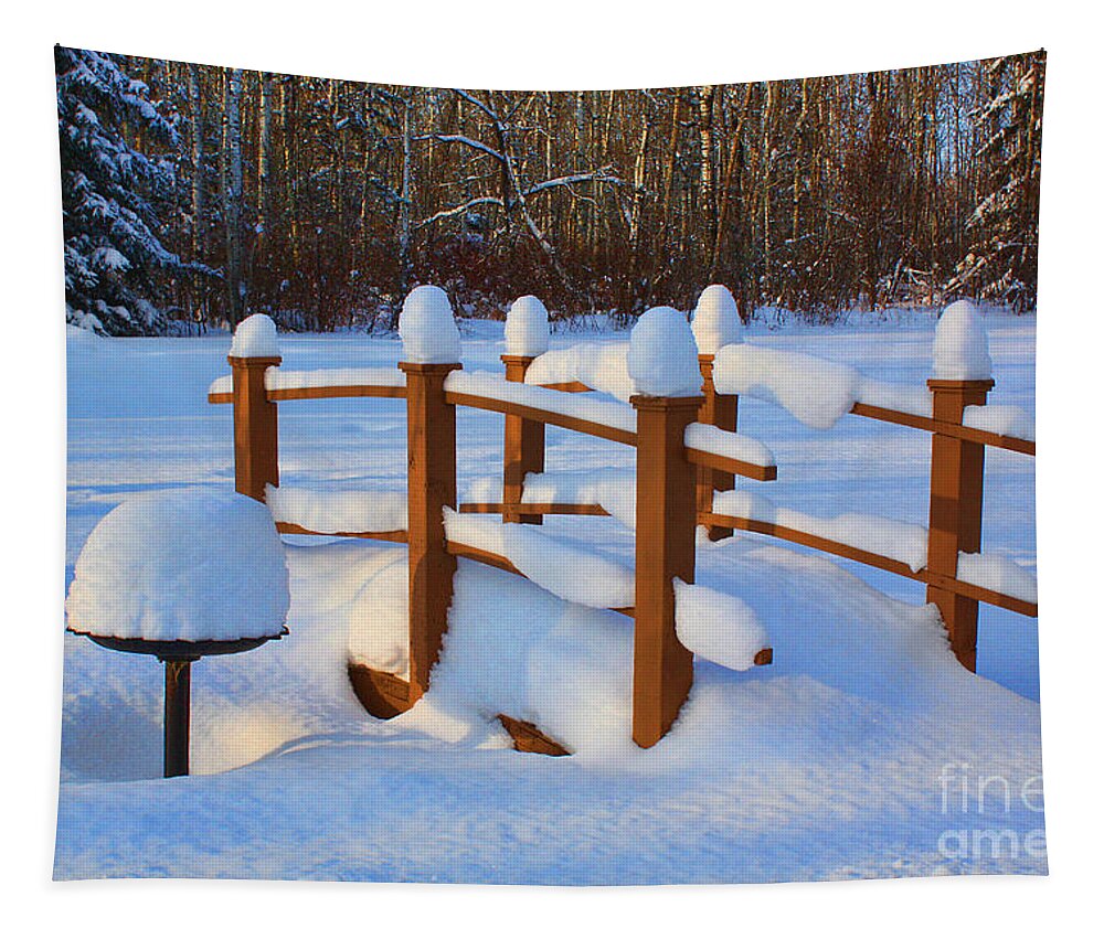 Snow Tapestry featuring the photograph Fresh Snow In A Backyard by Teresa Zieba