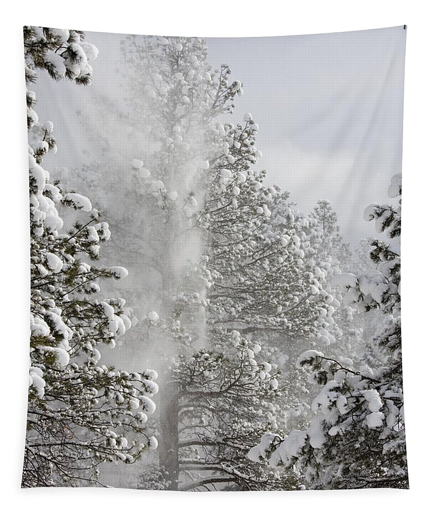 Beautiful Tapestry featuring the photograph Fresh Snow by Steven Krull