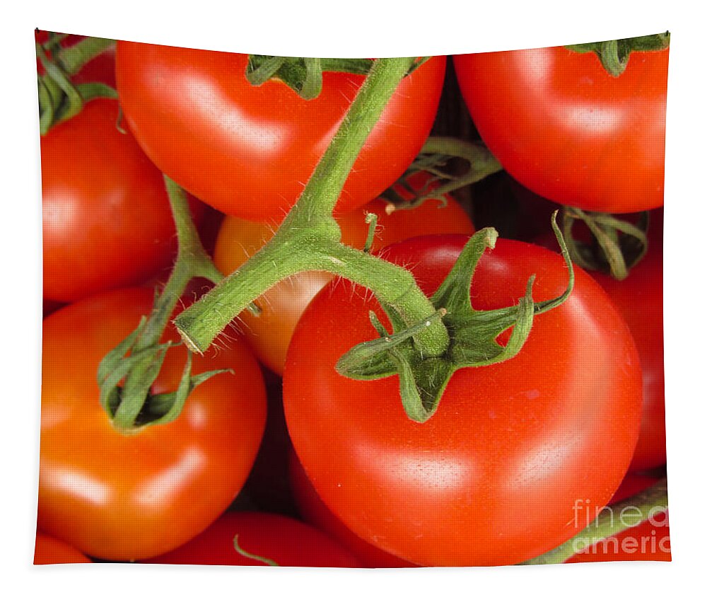 Tomato Canvas Print Tapestry featuring the photograph Fresh Whole Tomatos on Vine by David Millenheft