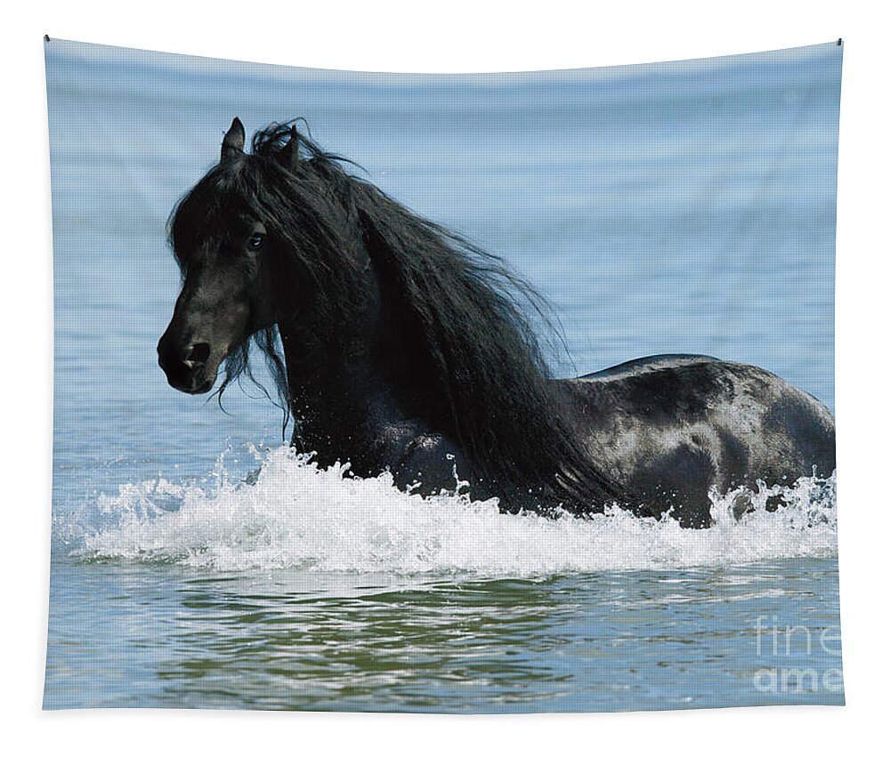 Friesian Tapestry featuring the photograph Friesian Horse by Gabriele Boiselle