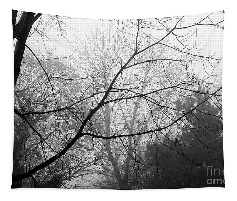 Fog Tapestry featuring the photograph From Hence We Come by Robyn King