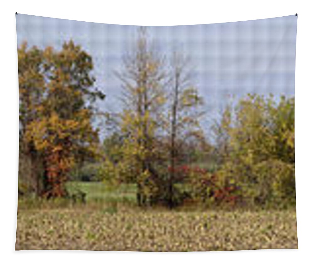 Fall Tapestry featuring the photograph From My Front Porch by Peter J Sucy
